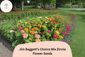 100 Jim Baggett's Choice Mix Zinnia Seeds – Tall Colorful Blooms for Cutting Gardens