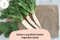 500 Daikon Long White Radish Seeds – Heirloom Asian Radish for Garden Planting