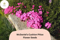 100 McDaniel's Cushion Phlox Seeds - Creeping Groundcover Phlox subulata