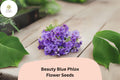 100 Beauty Blue Phlox Seeds - Perennial Garden Flowers, Phlox paniculata