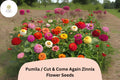 100 Pumila Zinnia Seeds - Cut & Come Again Mix, Pollinator Friendly Blooms