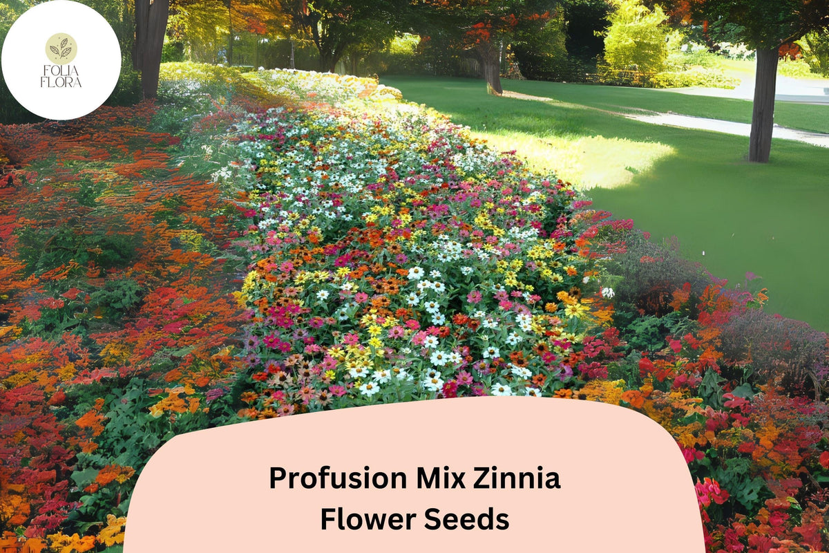 100 Profusion Mix Zinnia Seeds – Colorful Compact Blooms, Pollinator Friendly