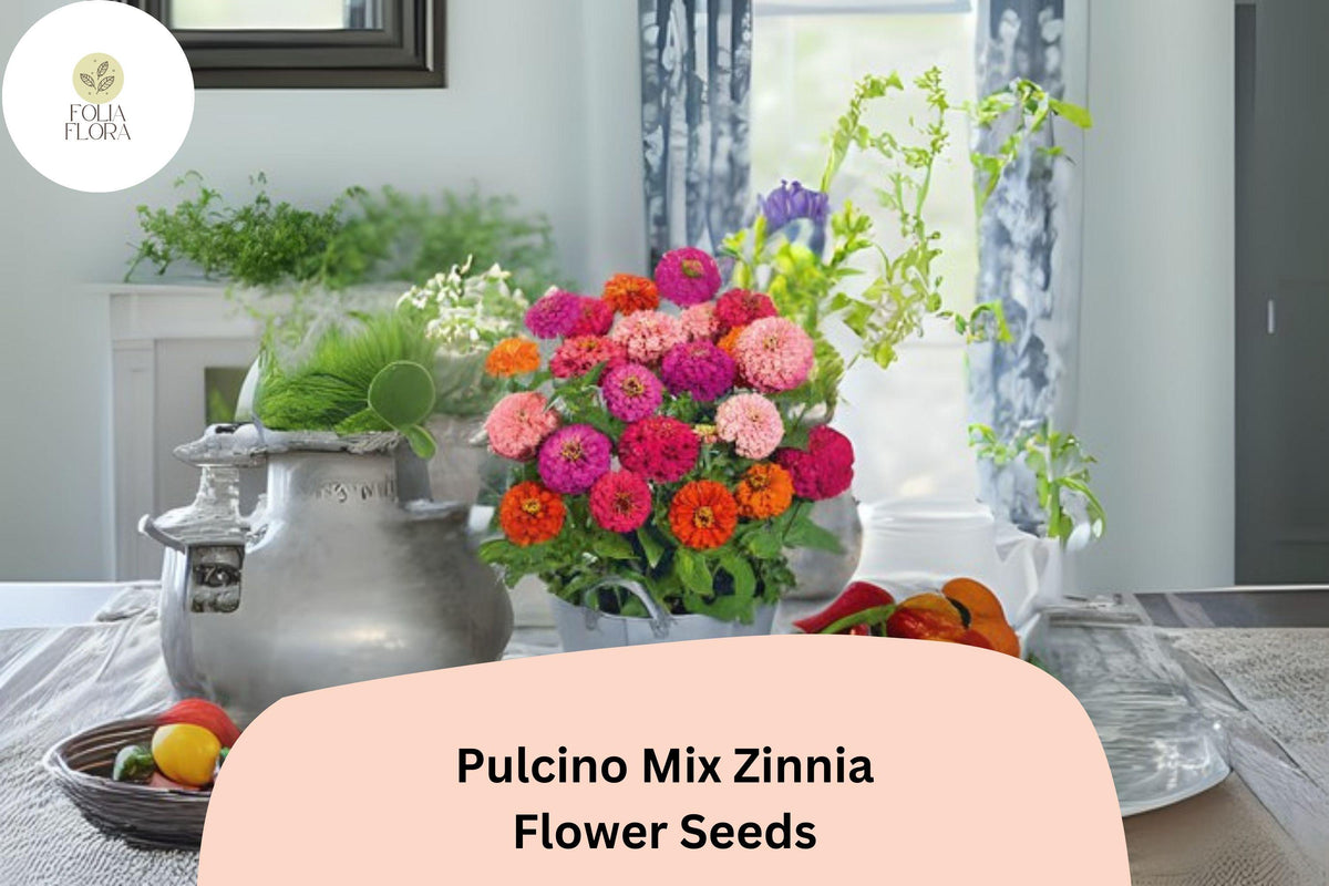 100 Pulcino Mix Zinnia Seeds - Dwarf Zinnia elegans for Pollinator Gardens