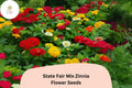 100 State Fair Zinnia Seeds – Non-GMO Annual Flower Garden Mix