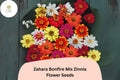 100 Zahara Bonfire Zinnia Seeds – Red, Orange, Yellow Blooms