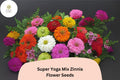 100 Super Yoga Mix Zinnia Seeds – Non-GMO Zinnia elegans Flower Seeds