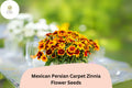 100 Mexican Persian Carpet Zinnia Seeds – Colorful Dwarf Mix for Garden Beds, Borders & Containers