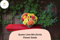 100 Queen Lime Mix Zinnia Seeds – Red, Peach & Green Garden Blooms