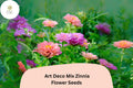 100 Art Deco Mix Zinnia Seeds for Planting - Colorful Cut Flower Garden Blooms