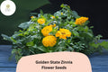 100 Golden State Zinnia Seeds – Bright Golden Blooms for Pollinator & Summer Gardens