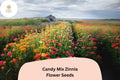 100 Candy Mix Zinnia Seeds – Bright Multi-Color Blooms for Summer Gardens & Bouquets