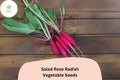 Salad Rose Radish Seeds – 500 Heirloom Non-GMO Seeds for Planting