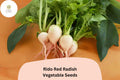 Rido Red Radish Seeds – 500 Heirloom Garden Seeds for Planting