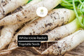 White Icicle Radish Seeds – Heirloom Non-GMO, 500 Seeds