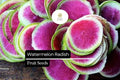 500 Watermelon Radish Seeds - Heirloom Red Meat Radish for Garden Planting