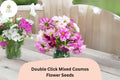 200 Double Click Cosmos Seeds – Mixed Colors Cut Flower Garden