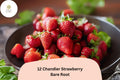 12 Chandler Strawberry Plants Live Bare Root June Bearing Fragaria × ananassa