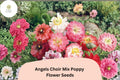 200 Angels Choir Poppy Seeds – Vibrant Papaver Flower Mix for Gardens