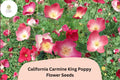 200 California Carmine King Poppy Seeds | Eschscholzia californica | Bright Red-Pink Blooms