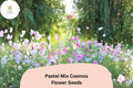 200 Pastel Cosmos Seeds – Pink, Peach & White Blooms for Cottage Gardens
