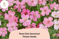 25 Rose Clair Geranium Seeds - Pink Cranesbill for Garden Borders