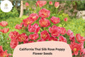 200 California Thai Silk Rose Poppy Seeds - Elegant Pink Wildflowers for Garden Planting