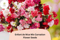 200 Enfant de Nice Mix Carnation Seeds – Fragrant Cut Flowers & Garden Blooms