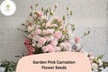 200 Garden Pink Carnation Seeds – Fragrant Pink Blooms, Hardy Perennial Flowers