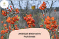 30 American Bittersweet Seeds for Planting | Celastrus scandens Native Climbing Vine