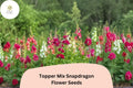 1000 Topper Mix Snapdragon Seeds – Antirrhinum majus for Colorful Borders & Cut Flowers