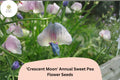 50 Lathyrus sativus 'Crescent Moon' Seeds - White Pink Blue-Purple Annual Sweet Pea