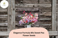 Elegance Formula Mix Sweet Pea Seeds – Colorful Climbing Vine (50 Seeds)