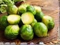 Long Island Improved Brussels Sprouts Seeds – Heirloom, Cold Hardy, High Yield – 500 Seeds