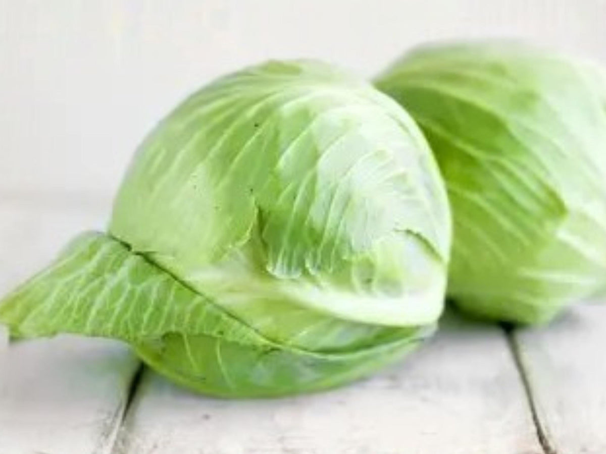 Golden Acre Cabbage Seeds – Early Heirloom, Compact Heads, Cold Hardy – 500 Seeds