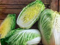 Chinese Cabbage Matsushima Seeds – Napa Type Asian Vegetable, 300 Seeds