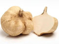 True Jicama Seeds – Mexican Yam Bean, Crisp Sweet Root Vegetable, 10 Seeds