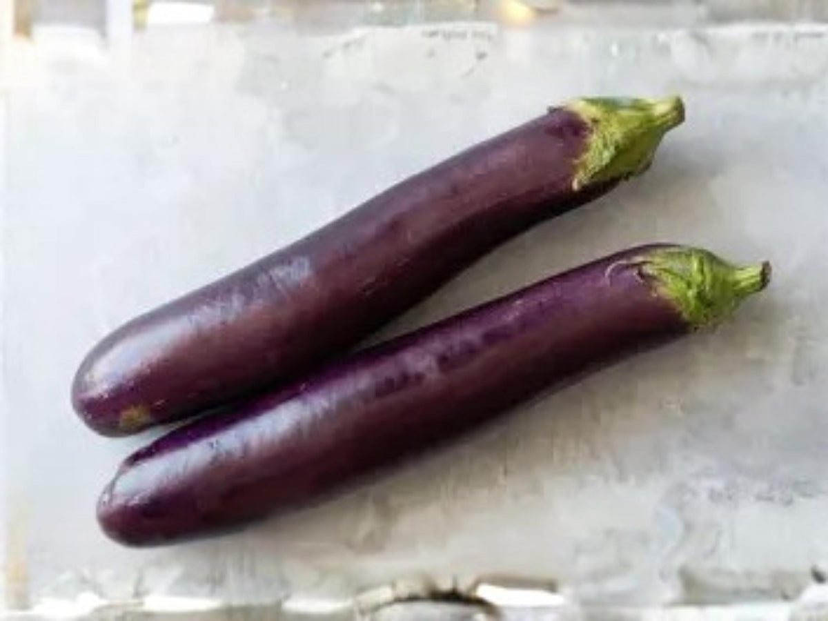 Long Purple Eggplant Seeds – Heirloom Italian Variety, 100 Seeds