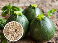 10 Round Zucchini Seeds – Heirloom Summer Squash for Compact Gardens