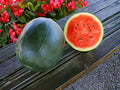 10 Sugar Baby Watermelon Seeds – Sweet Heirloom Variety for Planting
