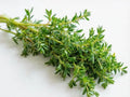 Thyme Herb Seeds – Culinary & Medicinal, Easy to Grow – 300 Seeds