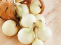 Blanco Duro Onion Seeds – 50 Heirloom White Storage Onion Seeds for Planting