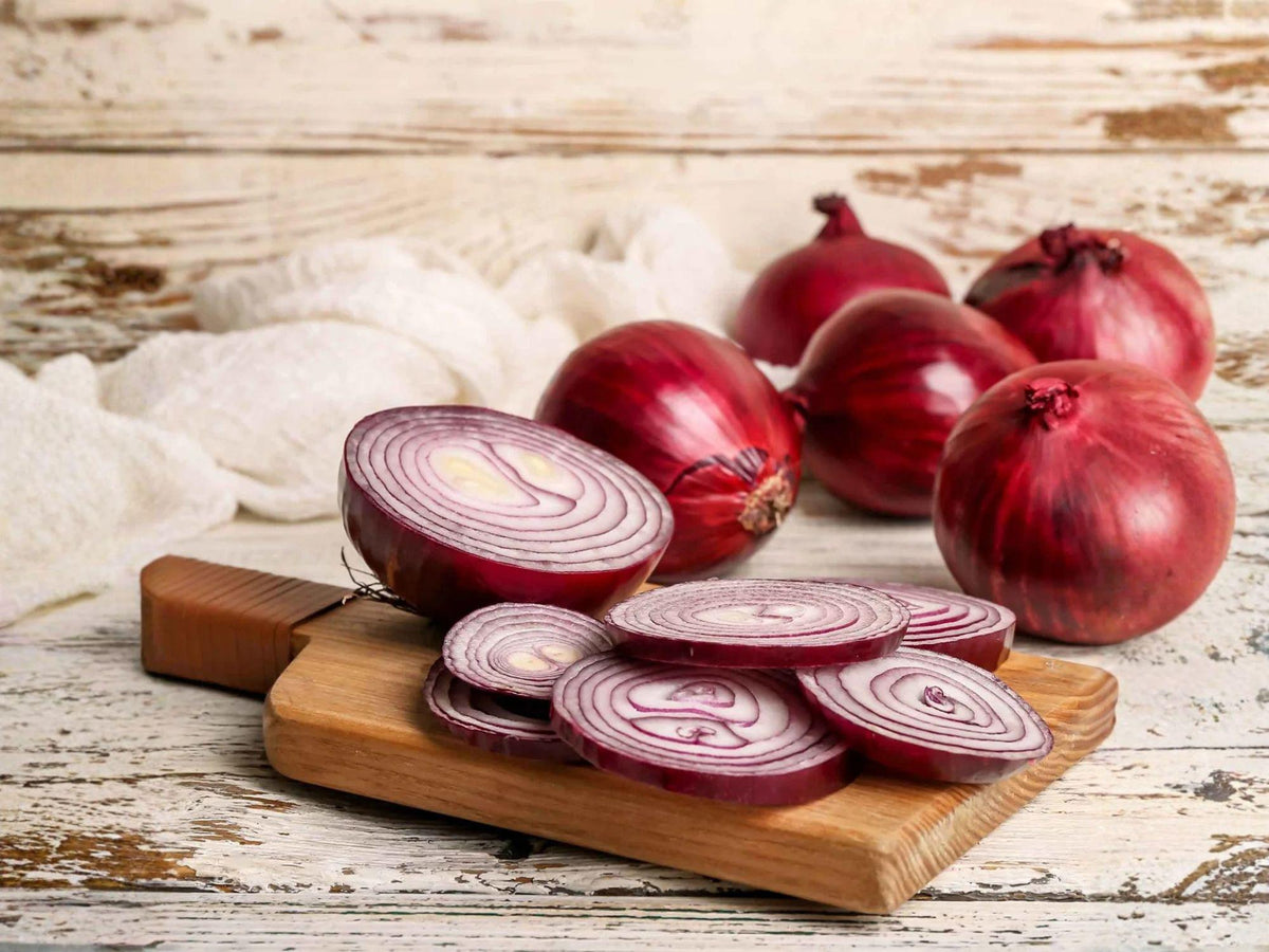 Red Grano Onion Seeds – Heirloom Sweet Red Onion, 50 Seeds