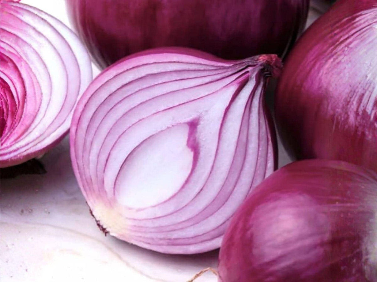 50 Southport Red Globe Onion Seeds – Heirloom Garden Vegetable