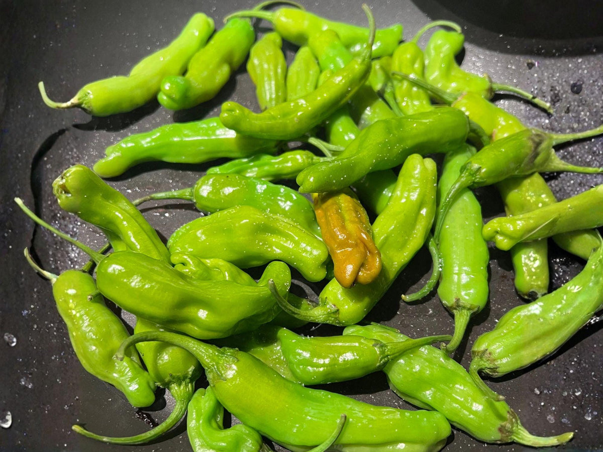 25 Shishito Pepper Seeds – Japanese Heirloom Mild Pepper for Planting