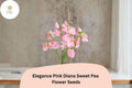 50 Pink Diana Sweet Pea Seeds - Elegant Climbing Vine for Gardens
