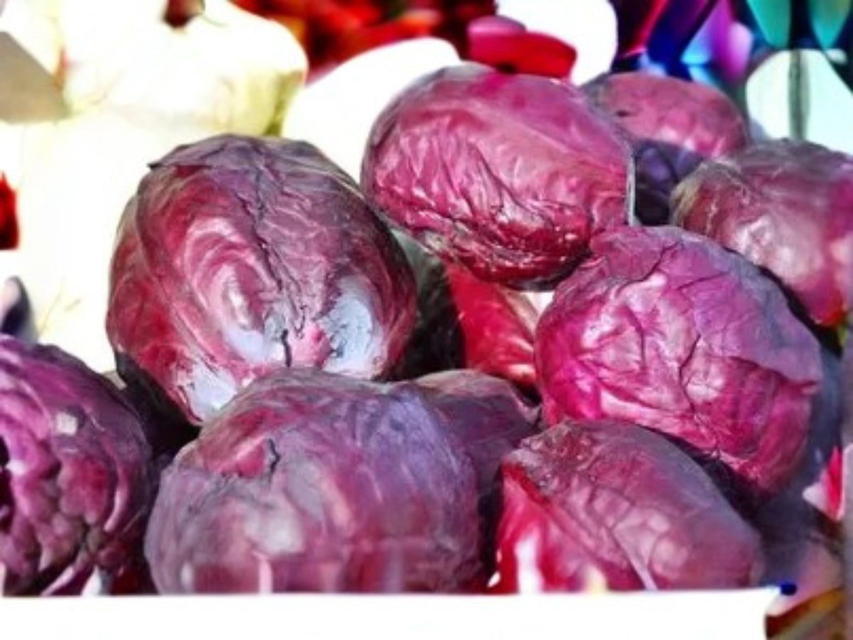 Red Acre Cabbage Seeds – 500 Heirloom, Cold Hardy Seeds for Planting