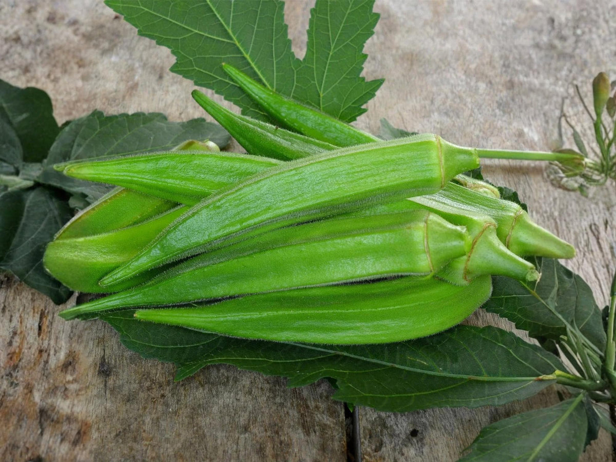 Clemson Spineless Okra Seeds – 100 Heirloom Vegetable Seeds for Planting
