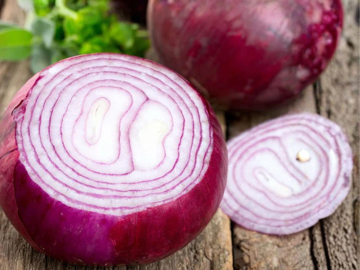 Red Burgundy Onion Seeds – Short Day, Sweet Vegetable, 50 Seeds