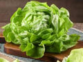 Bibb Lettuce Seeds - 1000 Heirloom Butterhead Vegetable Seeds for Planting