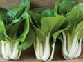 Pak Choi White Stem Seeds - 500 Bok Choy Asian Greens for Planting